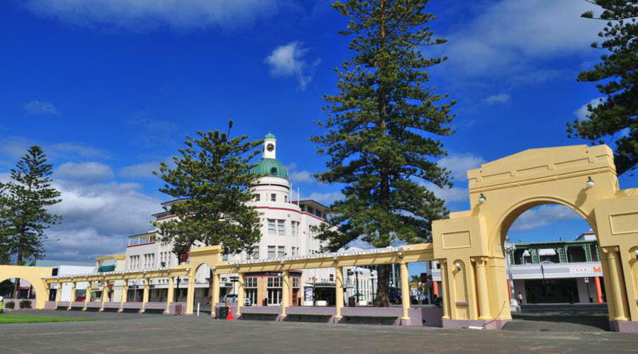¿Cuáles son las opciones de vehículos más populares en Napier?